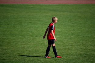 星空体育官方网站-NBA球员训练方法创新，nba球员训练视频,篮球技术