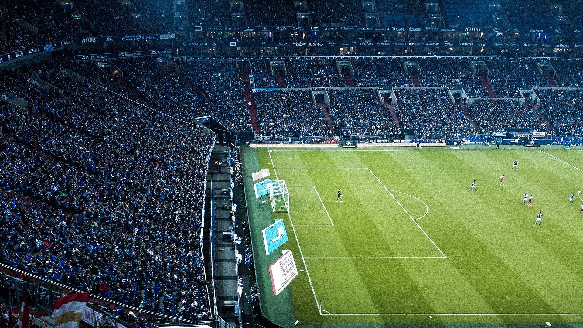 全民运动汇：跨年龄的健康生活